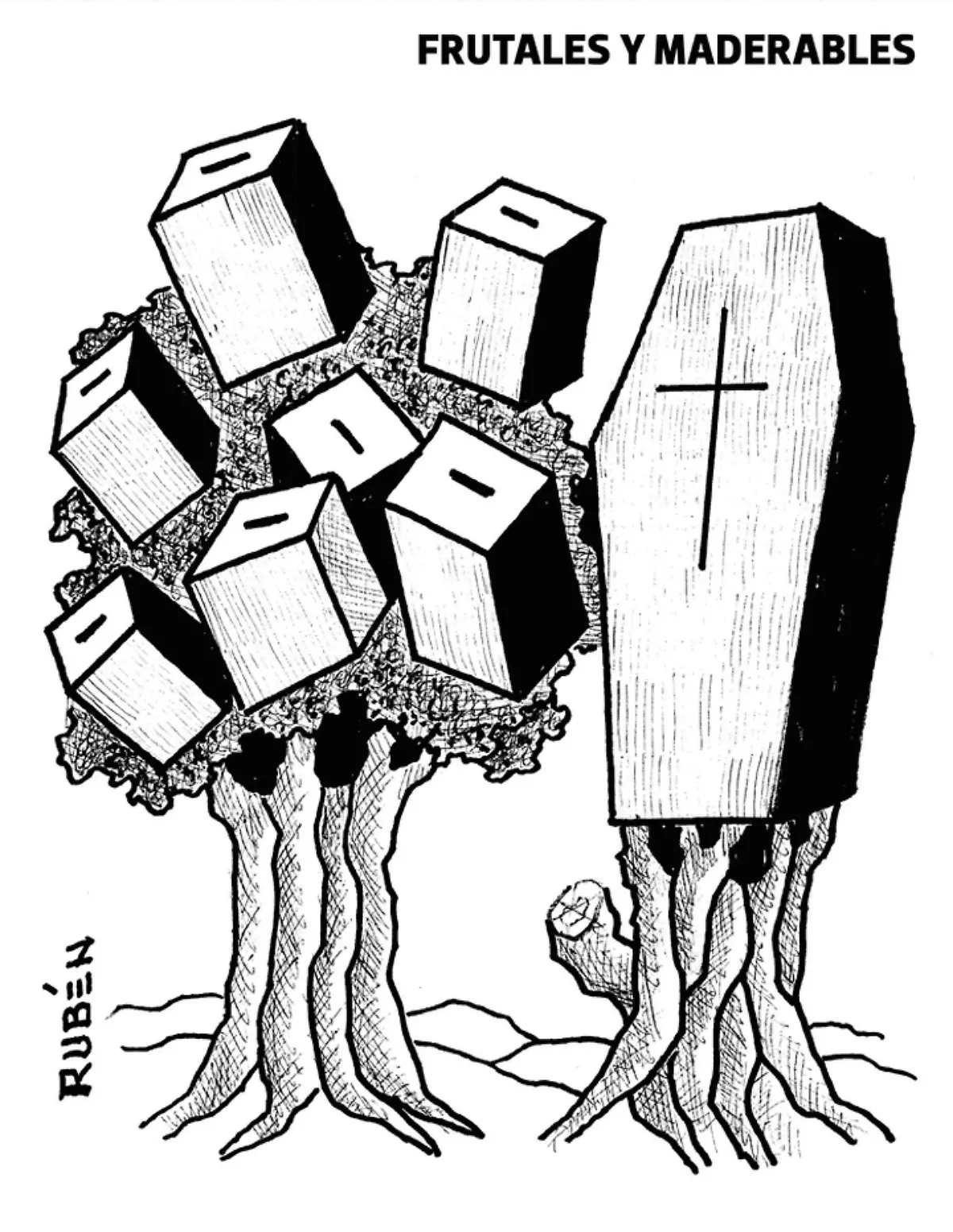 Rubén _ Frutales y maderables