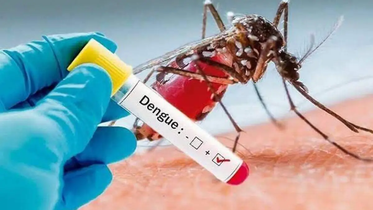 dengue