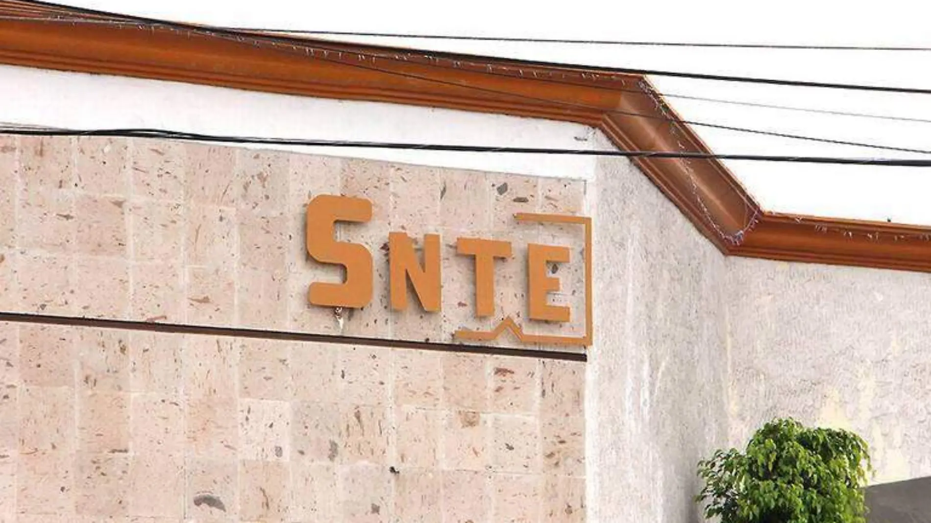 SNTE