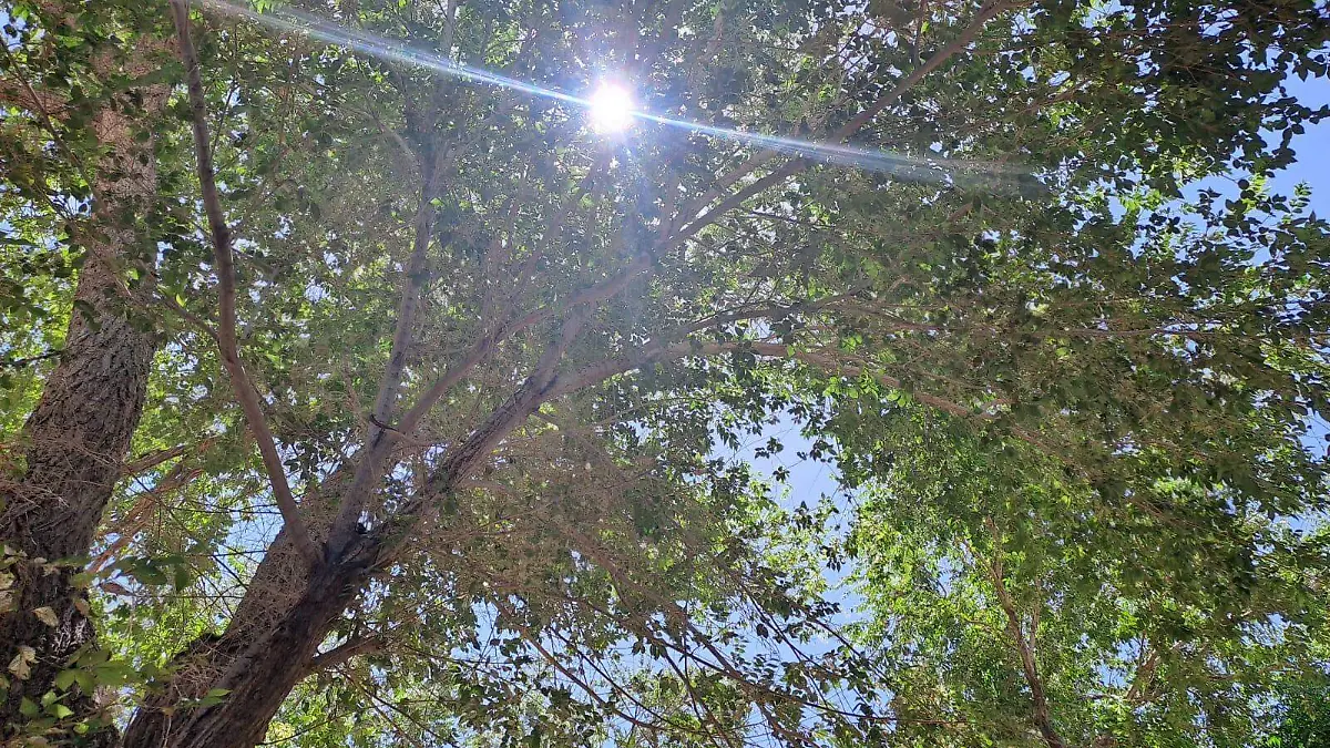 07228afe-8fce-49f2-aa6f-ceeb40799fef