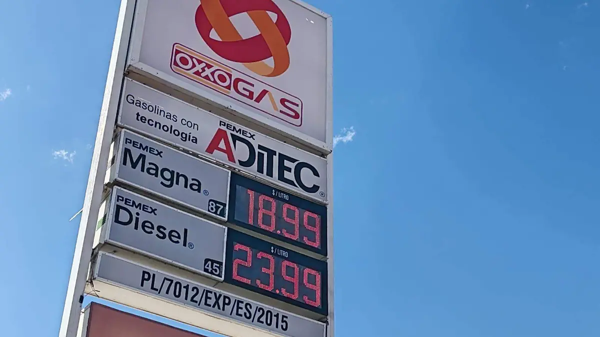 WhatsApp Image 2024-08-02 at 10.11.15 AM