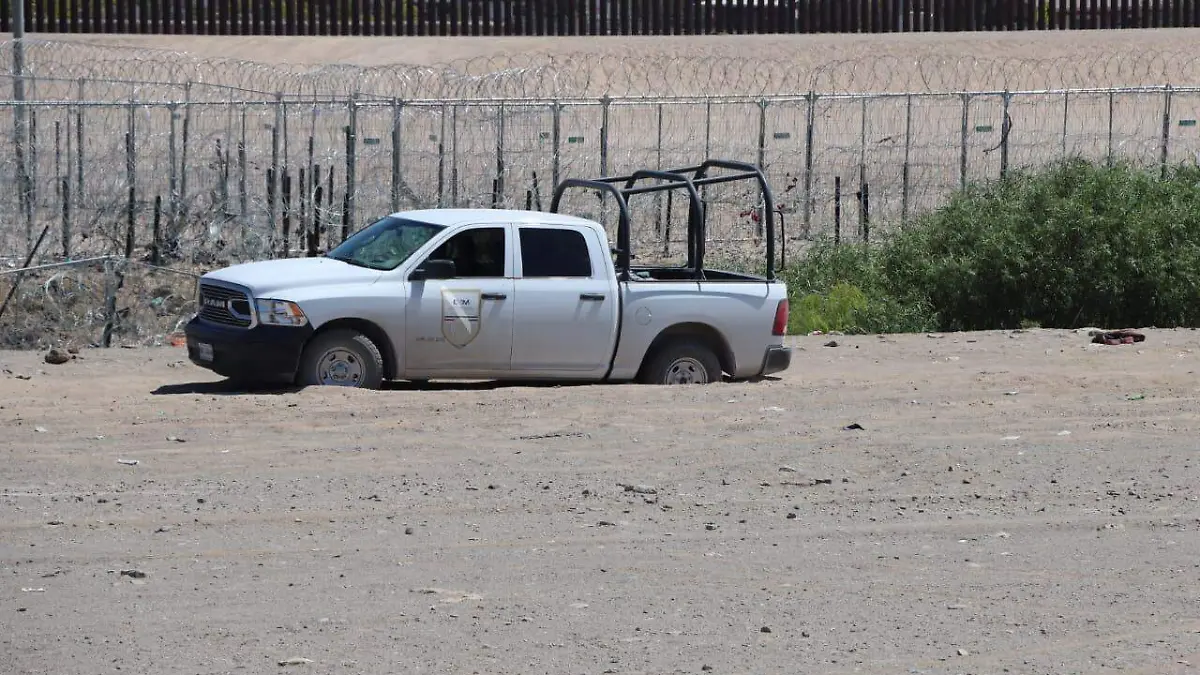 WhatsApp Image 2024-05-11 at 3.49.50 PM