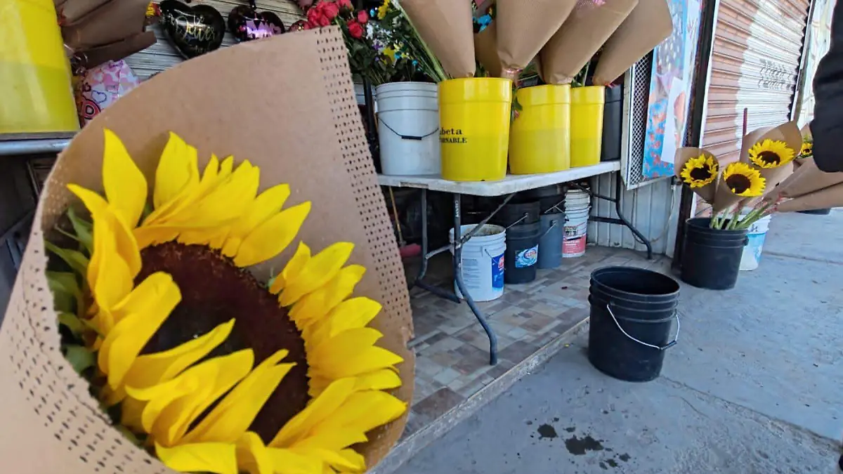 flores de san valentin