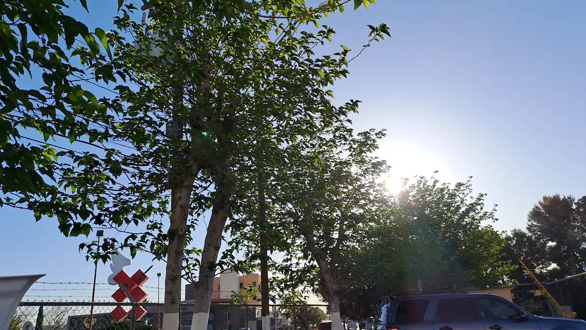 imagen_2024-04-10_080723637