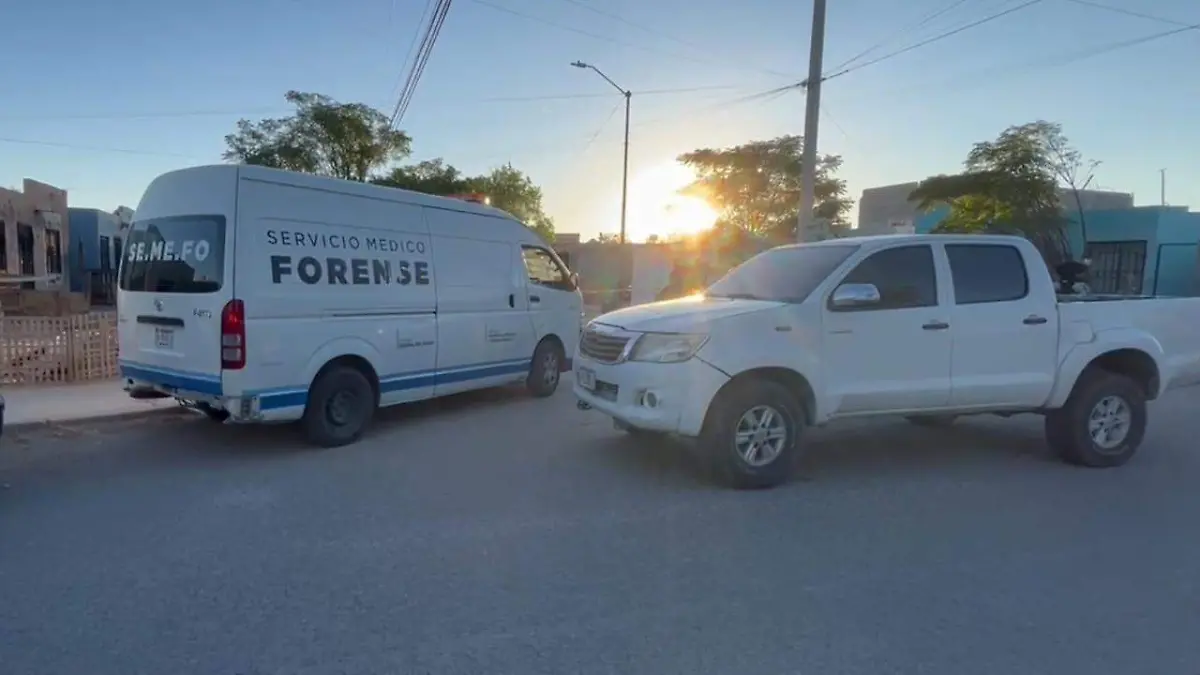 WhatsApp Image 2024-08-19 at 3.41.32 PM