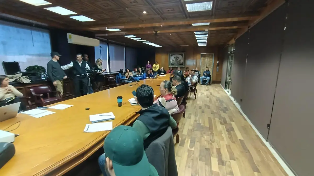 participación ciudadana
