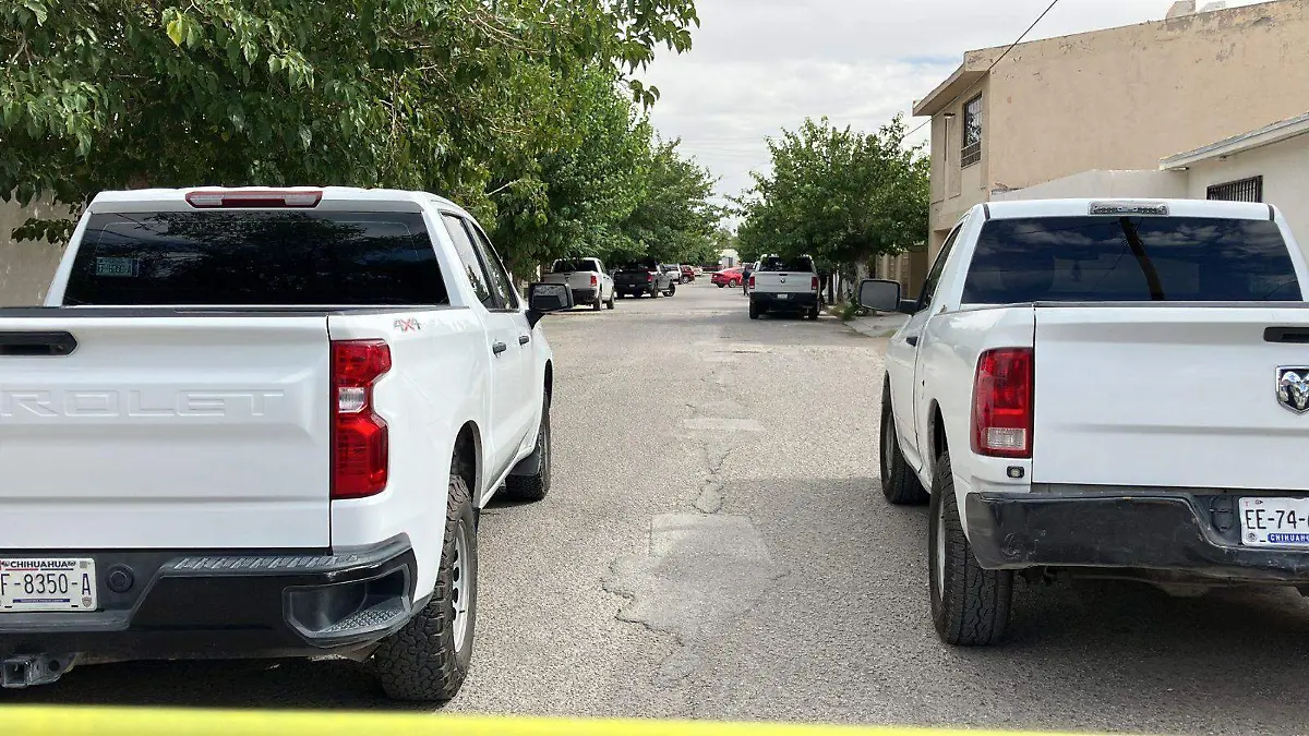 WhatsApp Image 2024-08-07 at 5.06.48 PM