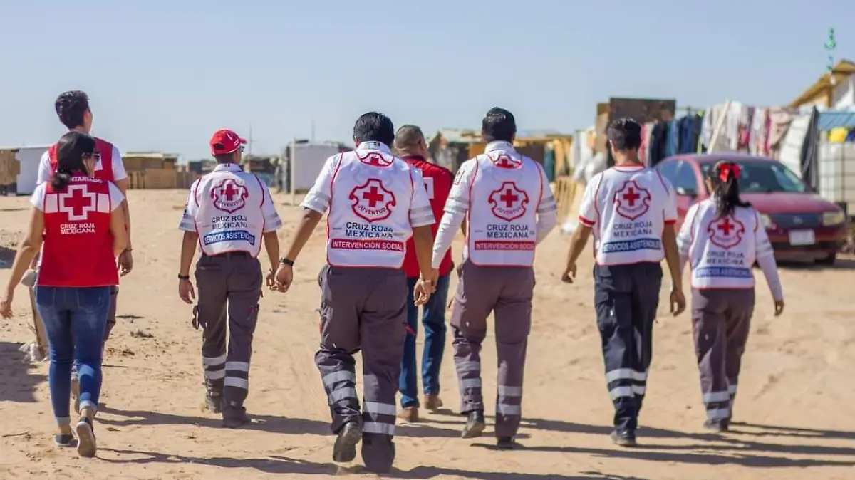 74cabec5-0169-434a-9bf6-91103363b2e2