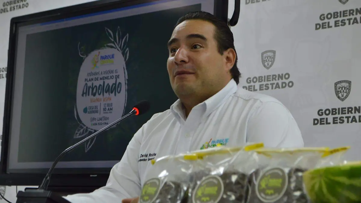 Coordinador del parque central