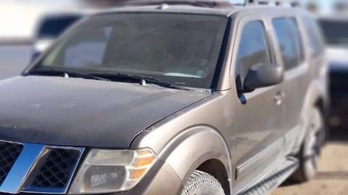 8bc21755-770e-4d4c-82f8-cd2513c1ac3d