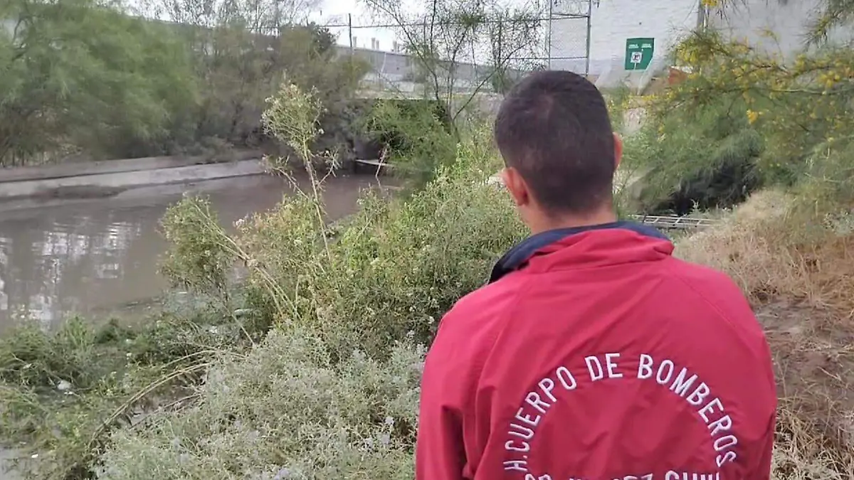 bomberos realizan búsqueda
