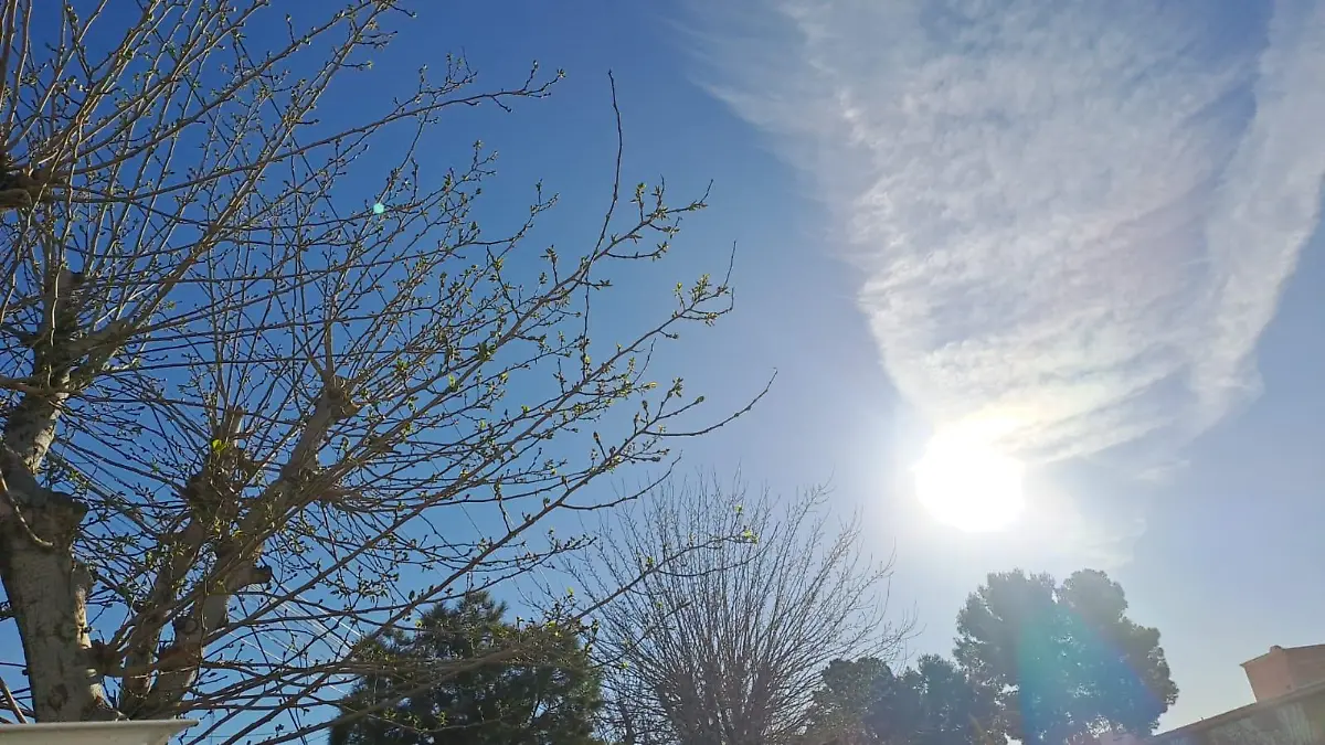 931ea1ca-b3a4-4838-9555-dd89106aecaf