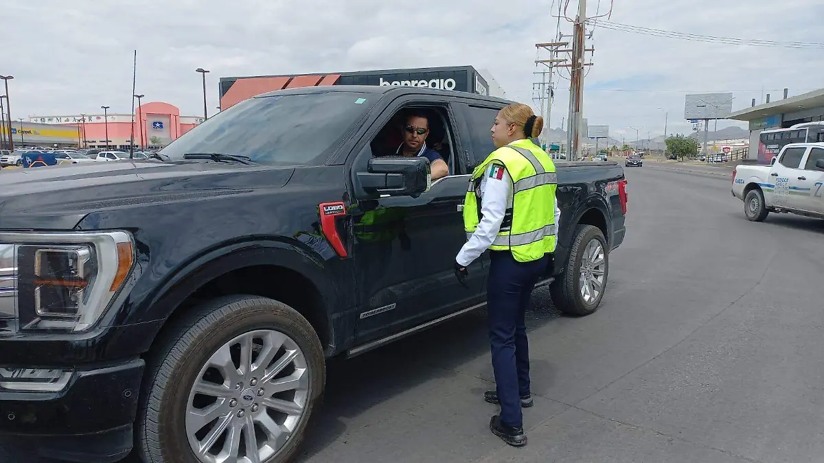 WhatsApp Image 2024-08-25 at 14.36.18 (1)