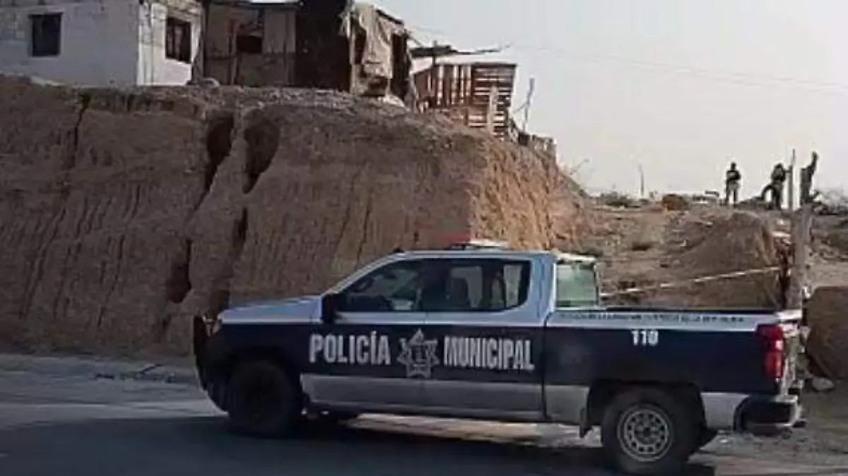 WhatsApp Image 2024-07-24 at 12.44.17 PM