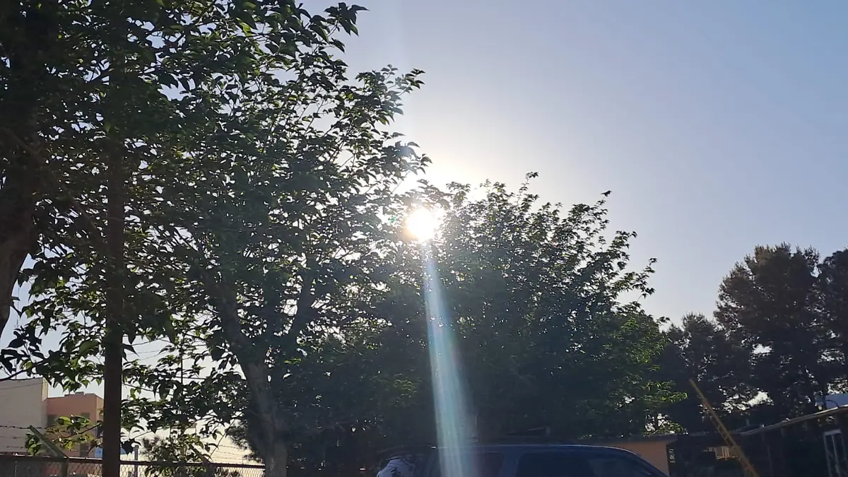 imagen_2024-04-11_081140126