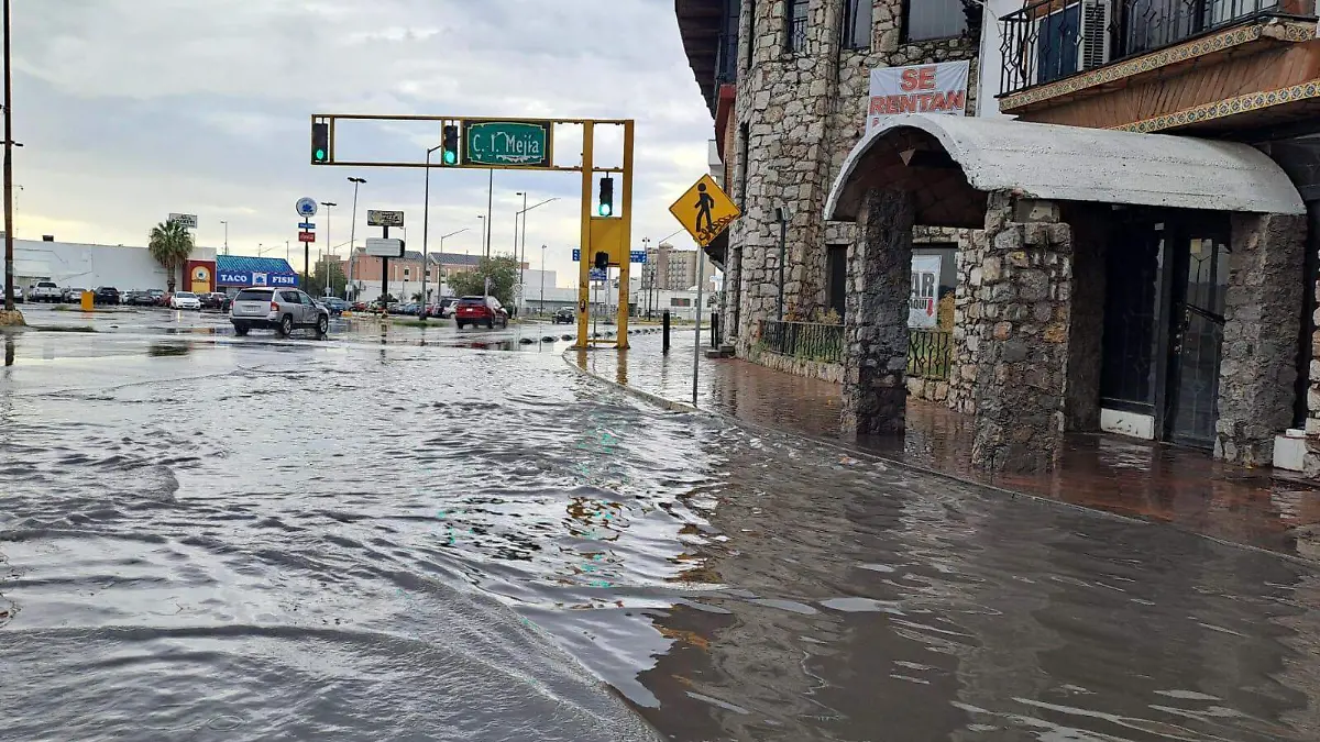 WhatsApp Image 2024-08-27 at 8.03.47 AM