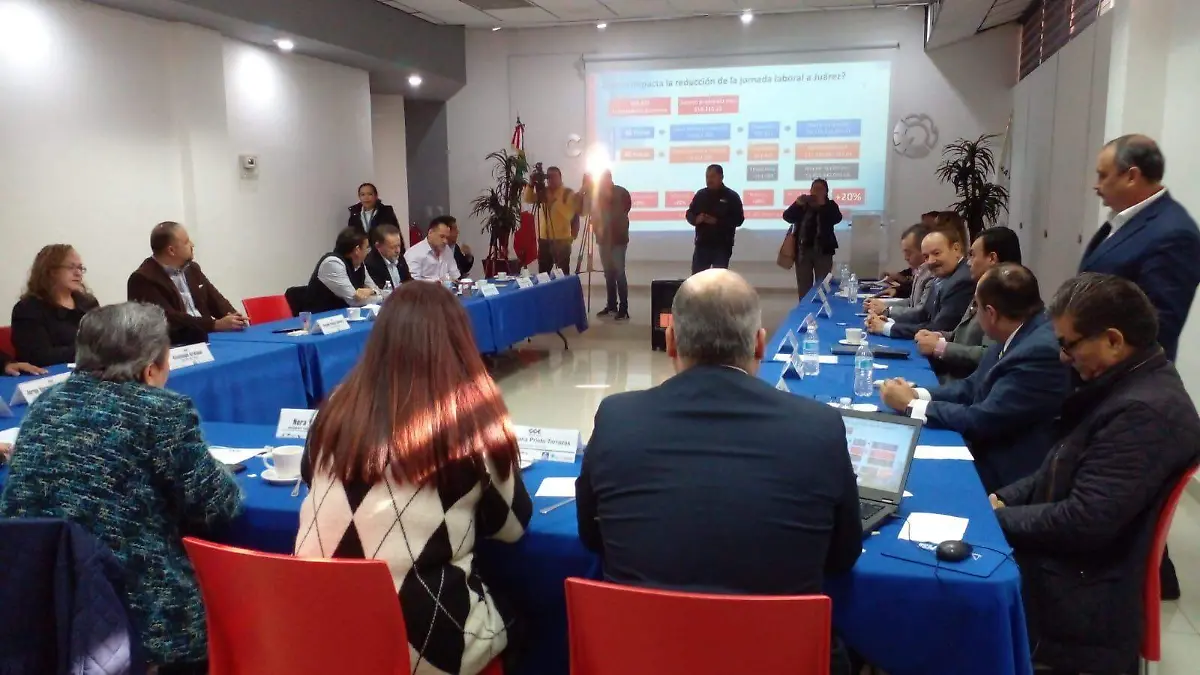 Diputada federal