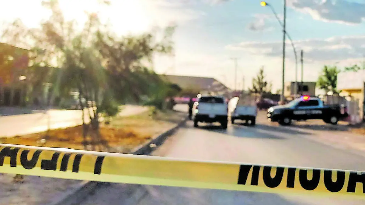 HT muerto mezquital_CMYK