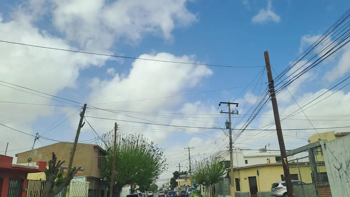 imagen_2024-03-25_080824221