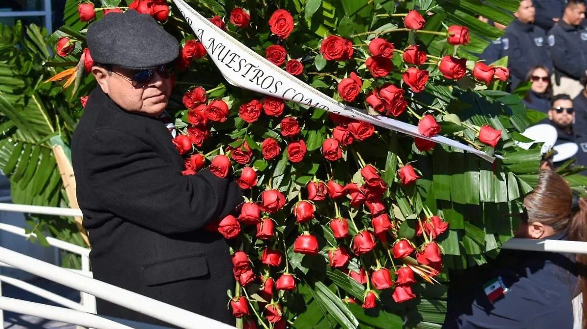 WhatsApp Image 2024-11-04 at 15.21.02