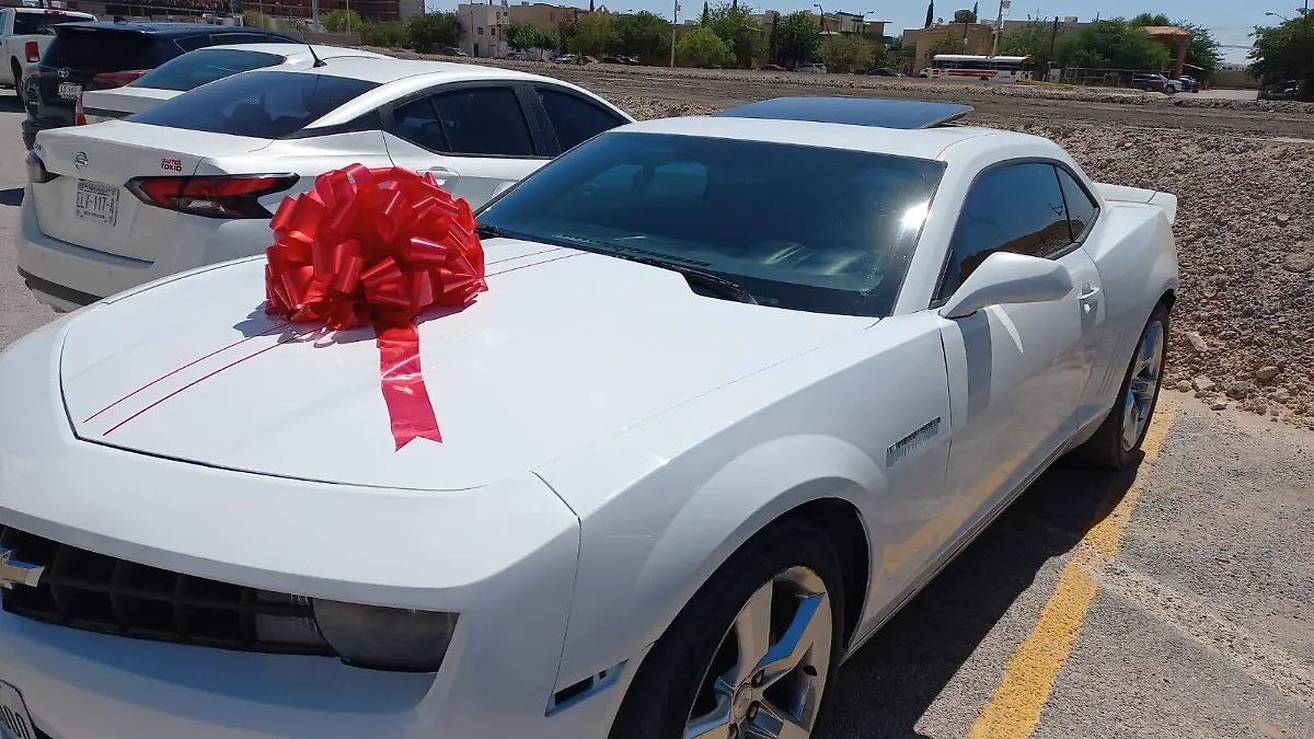 graduación cecytech 11