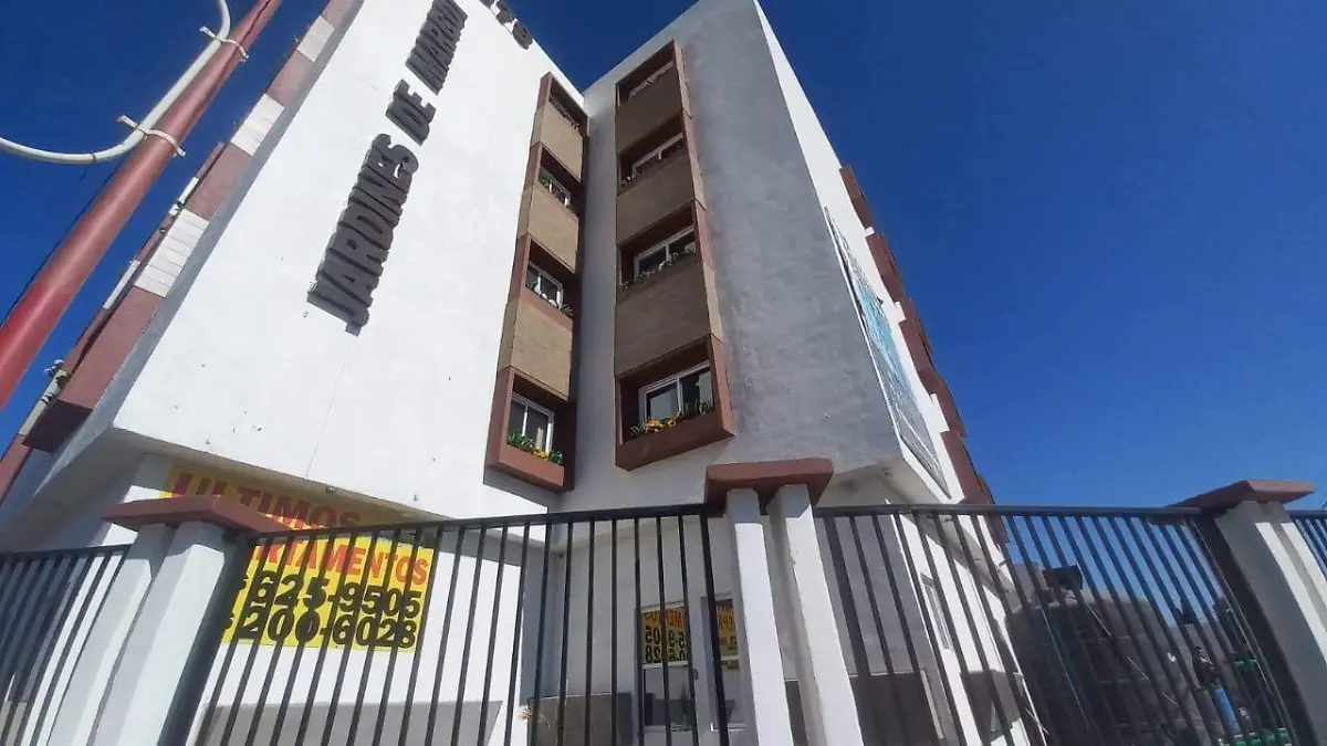 WhatsApp Image 2024-08-13 at 1.54.11 PM (1)