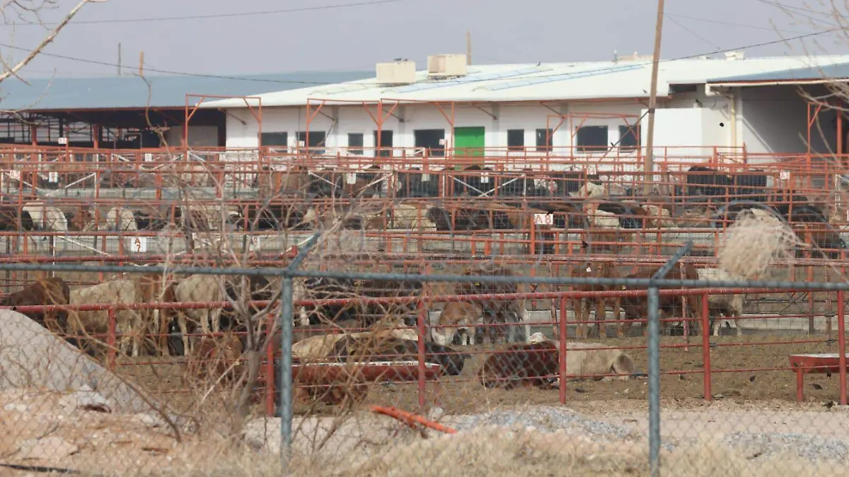 41b6c8c5-f42c-4a23-8471-fad0a29e4724