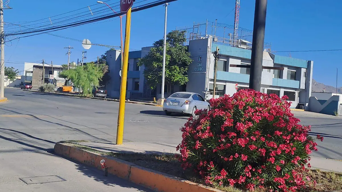 WhatsApp Image 2024-06-23 at 08.07.52