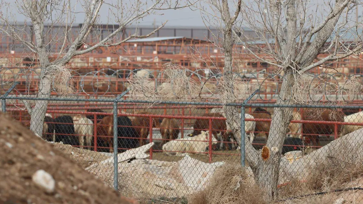 02bd9daa-325b-4248-8f5a-54d7a9b0933d