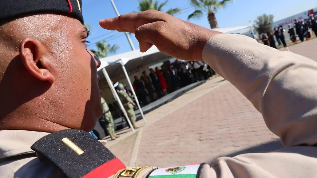 WhatsApp Image 2024-09-13 at 11.17.55 AM