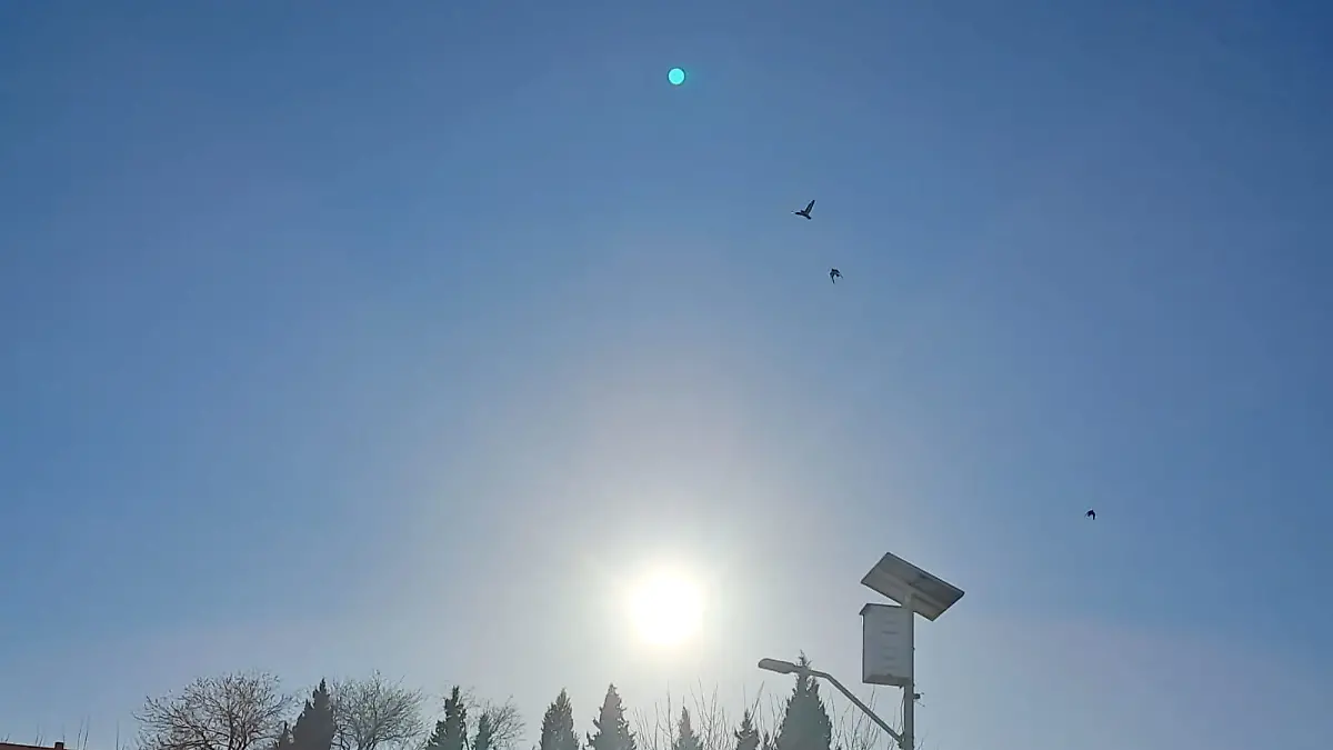 imagen_2024-04-12_083257250