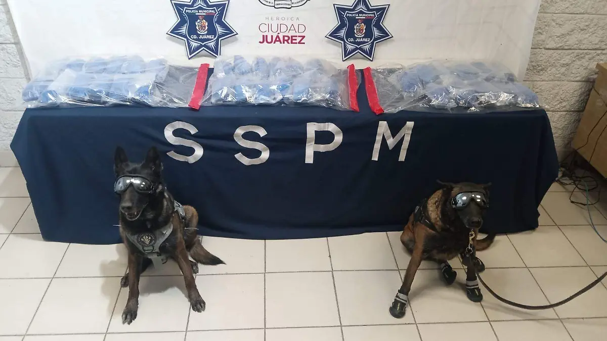 3a607743-5dd4-46d5-aa69-36ec47361fd1