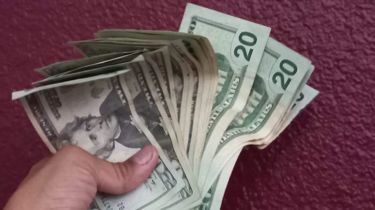 WhatsApp Image 2024-08-08 at 8.56.20 AM