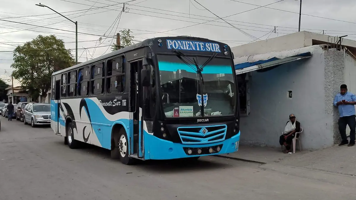 WhatsApp Image 2024-08-28 at 15.35.44