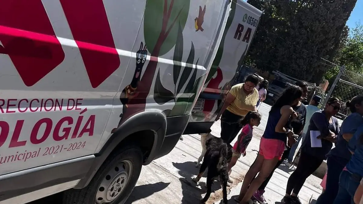 bienestar animal Samalayuca