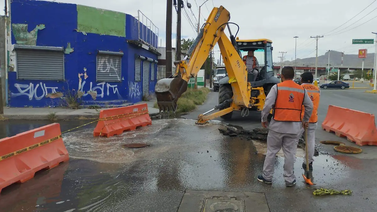 WhatsApp Image 2024-06-04 at 11.22.30