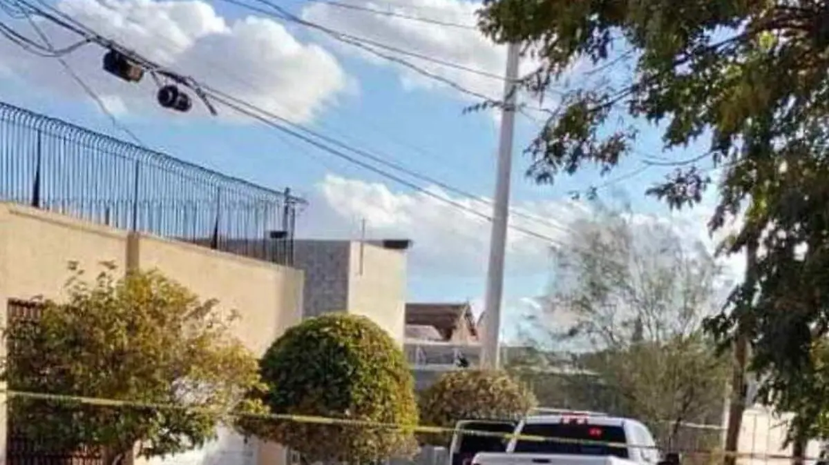 WhatsApp Image 2023-12-02 at 8.44.41 AM