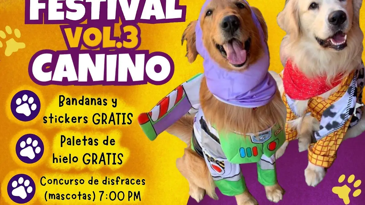 recolecta de croquetas