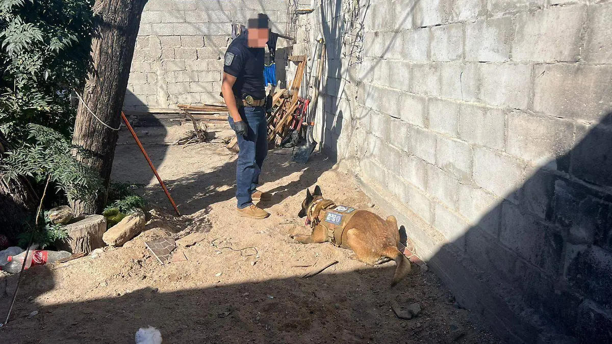 WhatsApp Image 2024-10-26 at 2.06.24 PM