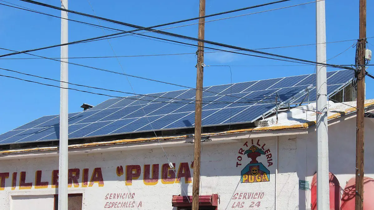 paneles solares. olga casas (2)