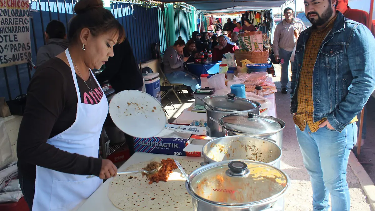 burros gigantes. olga casas (8)