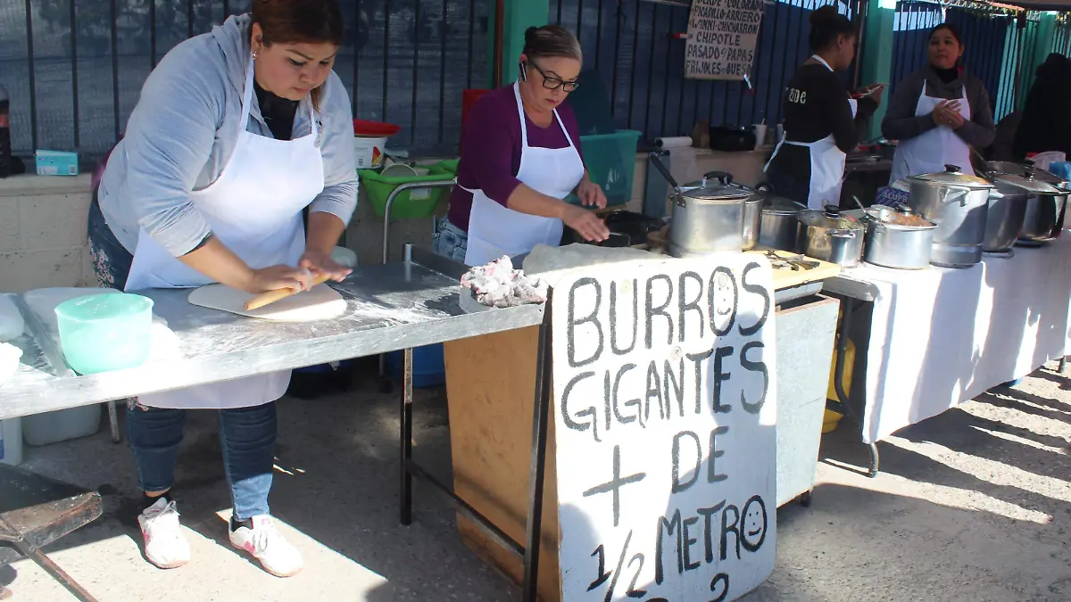 burros gigantes. olga casas (10)