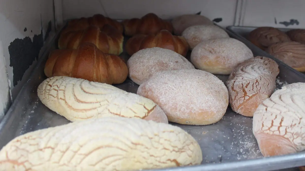 panaderia el nuevo pedernal. olga casas (2)