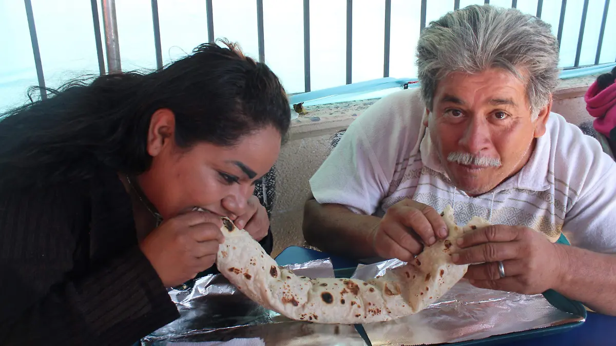 burros gigantes. olga casas (2)