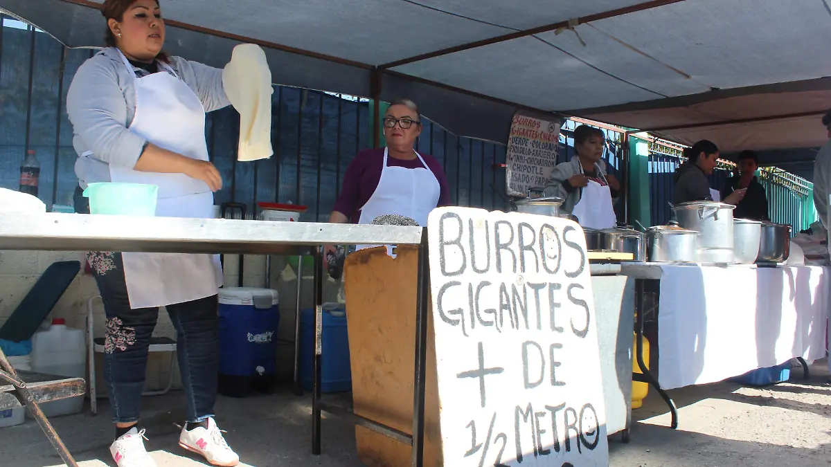 burros gigantes. olga casas (3)