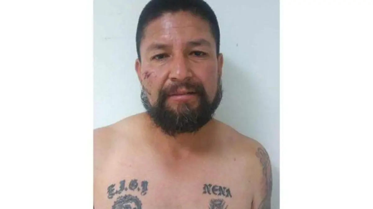 Violador Serial 2