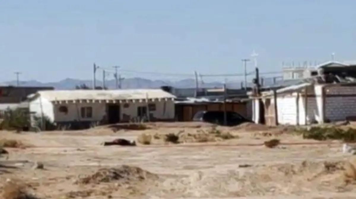 persona sin vida en terreno baldio