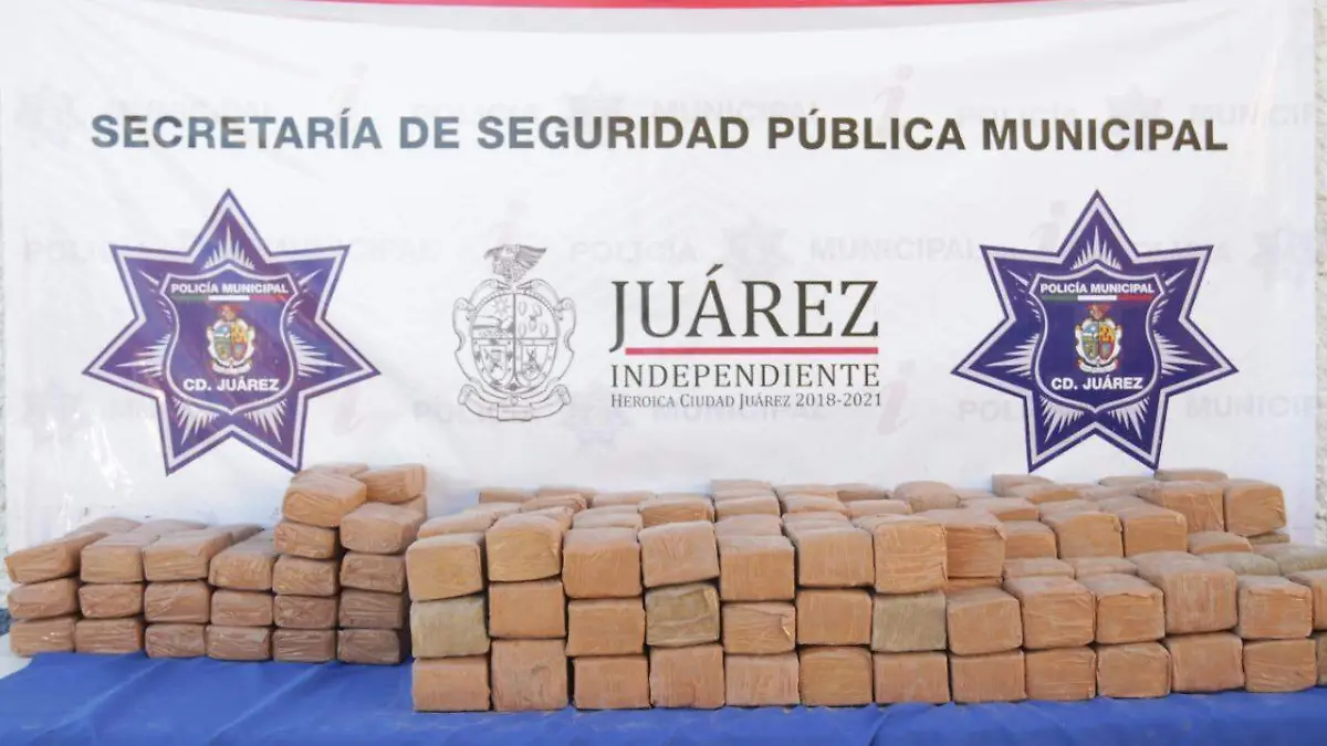 Aseguran 264 libras de marihuana