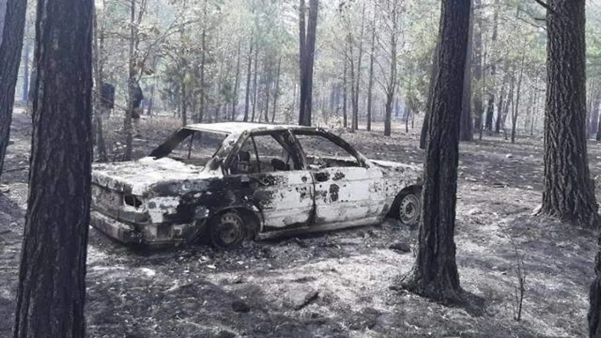 auto calcinado