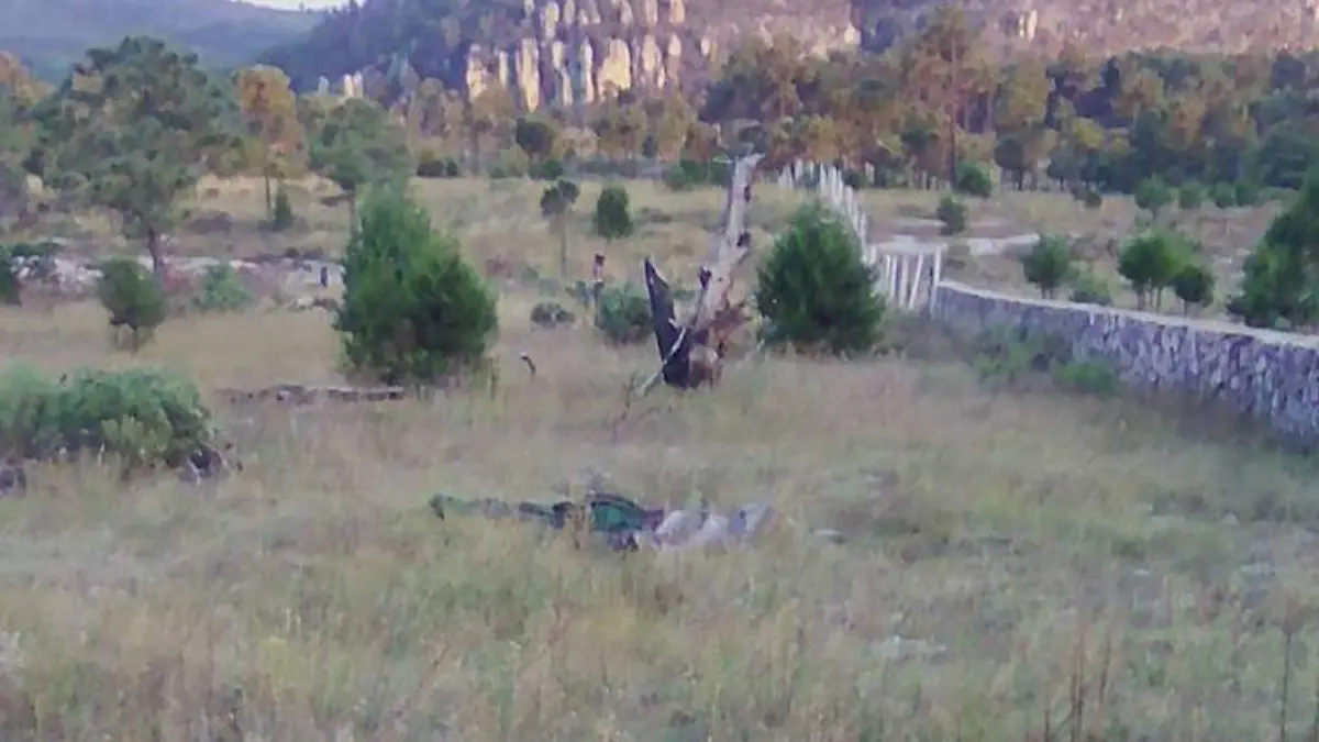 Mataron a dos policías